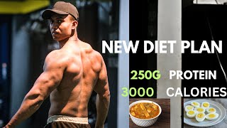 MY NEW FULL DAY DIET PLAN vlog gym bulk diet [upl. by Adni]