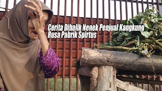 CERITA PENJUAL KANGKUNG  RUSA PABRIK SPIRTUS WATES MOJOKERTO [upl. by Tahp485]