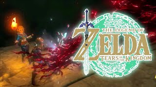 Things Go Wrong  The Legend of Zelda Tears of the Kingdom [upl. by Rather917]