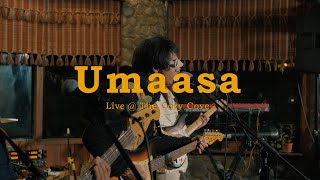 Umaasa Live at The Cozy Cove  Calein [upl. by Ellednahs]