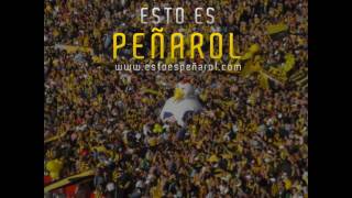 Tema nuevo PEÑAROL Tuyo Siempre  Andres Calamaro [upl. by Nolyarg401]