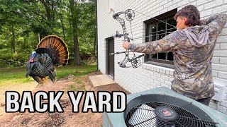 BACKYARD Suburban Turkey Hunting GIANT GOBBLER with a Bow [upl. by Gass]