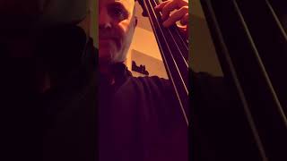 Pino Palladino line on Double Bass [upl. by Idham638]