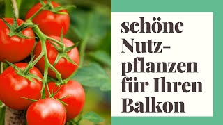 20 schöne Nutzpflanzen für Ihren Balkon [upl. by Oiziruam]