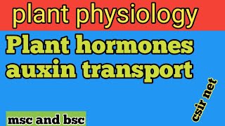 Auxin transportplant hormones  plant physiology  csir net [upl. by Attalie994]