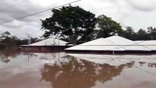 Brisbane floods  Twigg Street at indooroopilly 13111 [upl. by Boj]