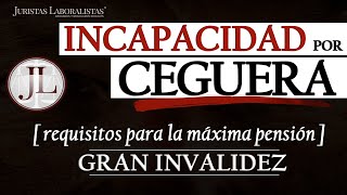 ✅ Pensión de Incapacidad por ENFERMEDAD VISUAL  Discapacidad visual 2023 [upl. by Nyrhtak557]