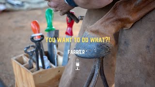 How to become a Farrier [upl. by Akel]