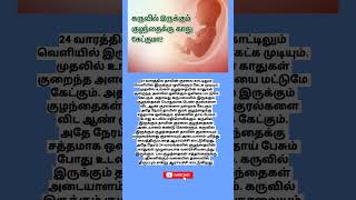 கருவில் உள்ள குழந்தைக்கு காது கேட்குமா  baby developments during pregnancy in tamil  wombhealth [upl. by Dera]