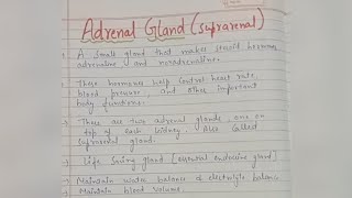 Adrenal gland Suprarenalhumananatomyandphysiology notes handwritten pharmacy [upl. by Mure890]