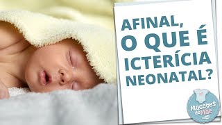 ICTERÍCIA NEONATAL É PERIGOSO  MACETES DE MÃE [upl. by Sayce]