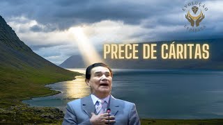 Envolvase na Paz Prece de Cáritas para iluminar o seu dia [upl. by Lody]