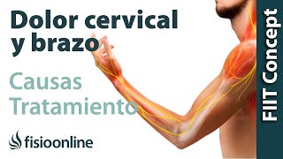 Ansiedad palpitaciones y dolor de espalda cervical brazo y clavícula  Causas y tratamiento [upl. by Maillw363]