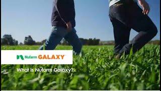 What is Nufarm Galaxy [upl. by Alusru]