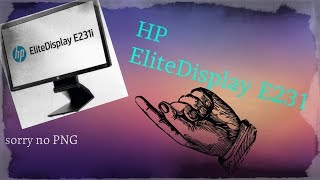 HP EliteDisplay E231 Review  After 1 Month  Amazing deal Read DescriptionComments [upl. by Landa]