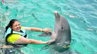 Dolphin Discovery Isla Mujeres Nadando CON DELFINES en CANCUN MEXICO [upl. by Lacym]