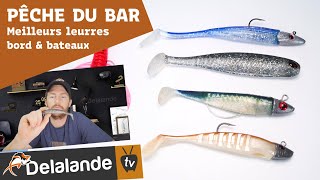 Nos 5 meilleurs leurres souples pour la pêche du bar [upl. by Ahseal59]