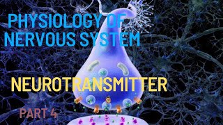 Physiology 2  Excitatory and inhibitory neurotransmitter in Amharic [upl. by Rhoades]