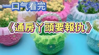 （一口气看完）快穿之云华真君圆满之旅通房丫头要报仇 [upl. by Ahtnahc]