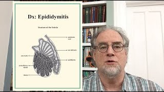 CCS4 A Case of Epididymitis Treated with Homeopathy [upl. by Nwadrebma693]