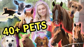 Feeding ALL My Pets in One Video  40 Pets [upl. by Haliek]