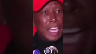 Julius Malema said IFP is an entity of the Oppenheimers [upl. by Malaspina]