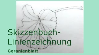 Zeichnen Bleistift botanisch Geranien Blatt Grafit Skizzenbuch Linien Zeichnung Transparentpapier [upl. by Ycnuahc]