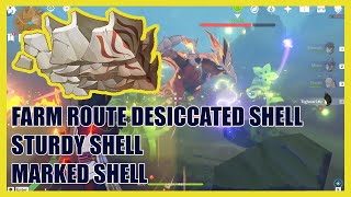 Desiccated Shell Marked Shell Sturdy Shell Route  Genshin Impact Sumeru [upl. by Clarita42]