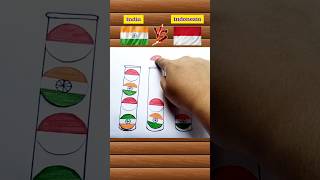 India vs indonesia flag race shortvideo viralshort [upl. by Kreegar97]