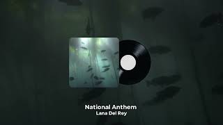 Lana Del Rey  National Anthem Sped Up [upl. by Luahs994]