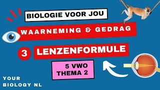 5 vwo  Waarneming amp Gedrag  3  Het oog lenzenformule [upl. by Aehta]