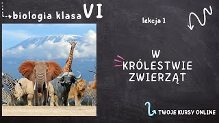 Biologia klasa 6 Lekcja 1  W królestwie zwierząt [upl. by Ardnasxela487]