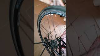 Campagnolo Shamal Ultra Freehub sound [upl. by Intihw633]