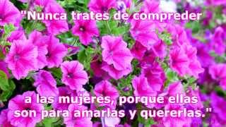 Dia De La Mujer 2024 2025 frases pensamientos reflexiones para Compartir en Facebook [upl. by Attenwahs]