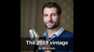 Domaine Billaud Simon  The 2019 Vintage by Olivier Bailly [upl. by Capon]