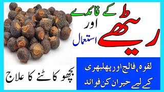 Reetha Ke Fwaid Aur istemal  Soapberry benefits For Health [upl. by Bennett]