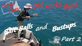 Bait balls and bustups Part 2 [upl. by Ariom]