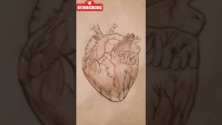 How Your Heart REALLY Works Anatomy amp Physiology [upl. by Merl]