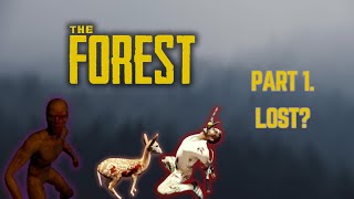 LOST  The Forest Playthrough  Episode 1 [upl. by Boyer]