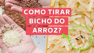 Como tirar bichinho do arroz Carunchos 2022 [upl. by Parris430]