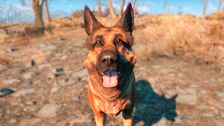 What Happens If You Havent Met a Dogmeat At The Beginning Of The Game [upl. by Barclay]