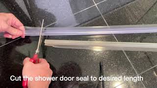 How to Change Shower Glass Seal [upl. by Sarah900]