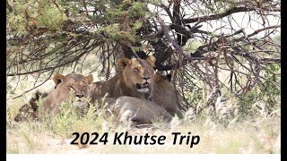 2024 Central Kalahari Game Reserve CKGR  Khutse  Short Trip [upl. by Ylsel]