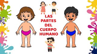 Canción para saludarnos 🙂🤗 quotPara partes del cuerpoquot Fase 2 Preescolares y Fase 3 Primaria [upl. by Morton]