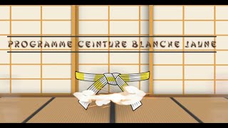 Ceinture BLANCHE JAUNE  Programme du Passage de Grade Judo [upl. by Naujud]