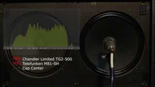 Telefunken M81 vs M80 Mic shootout Guitar Amp [upl. by Egwin]