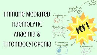 Immune Mediated Haemolytic Anaemia amp Thrombocytopenia [upl. by Cormack10]