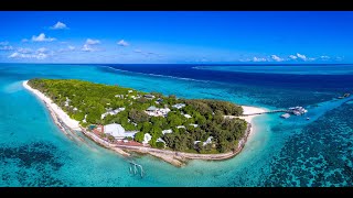 Heron Island Snorkelling Adventure [upl. by Ventura383]