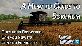 GUIDE TO FORESTRY  Farming Simulator 22 [upl. by Nert]