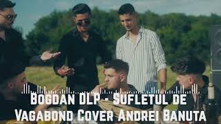 Bogdan DLP  Sufletul de Vagabond Cover Andrei Banuta Official Music [upl. by Anaira]